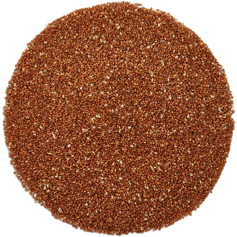 Grains de teff