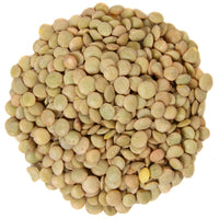 Lentilles vertes biologiques Lentilles vertes biologiques