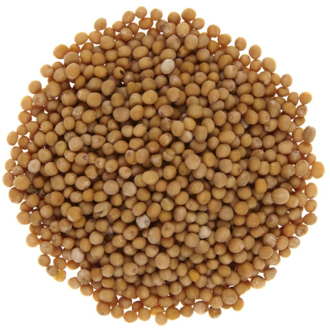 Graines de moutarde jaune biologique