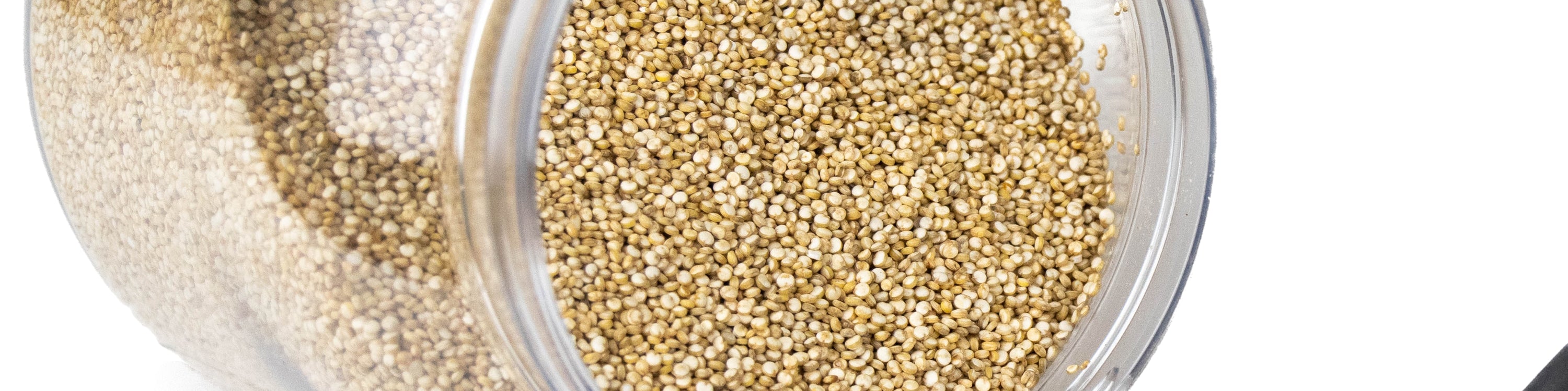 Quinoa