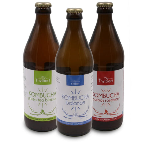 Kombucha Balance bio