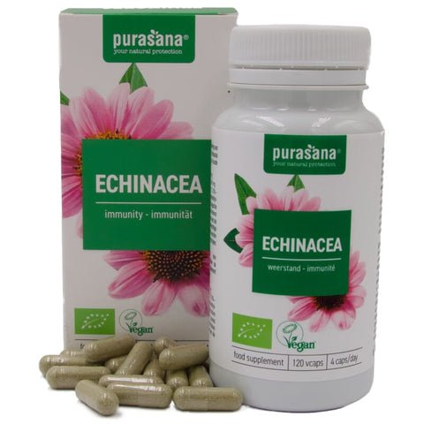 Capsules d'echinacée bio