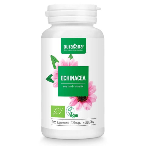 Capsules d'echinacée bio