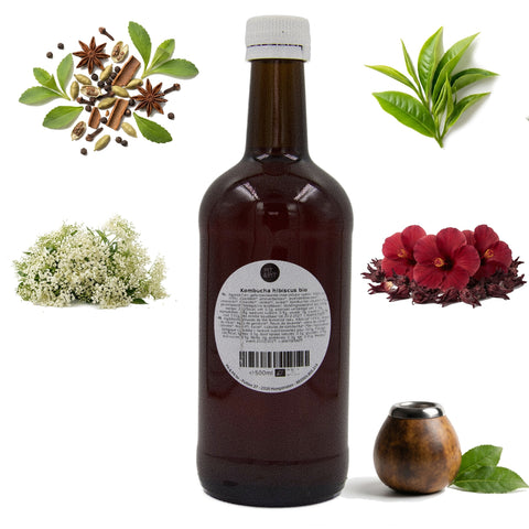 Coffret découverte Kombucha bio