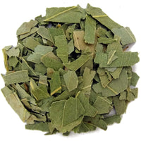 Feuilles d'eucalyptus