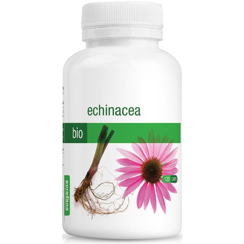 Capsules d'echinacée bio