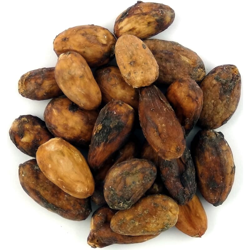 Fèves de cacao criollo cru biologique
