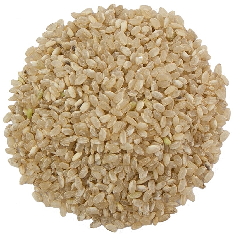 Riz à grains ronds complet biologique