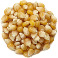 Maïs à popcorn