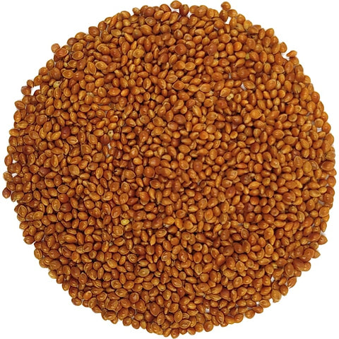 Millet germé biologique